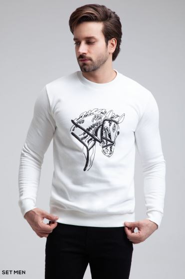 دورس طرح اسب دورس طرح اسب